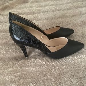 Jones New York Signature